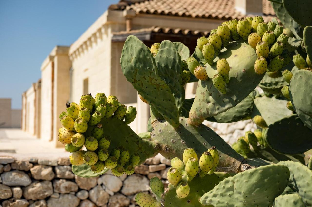 Masseria Lilei Lizzanello Esterno foto